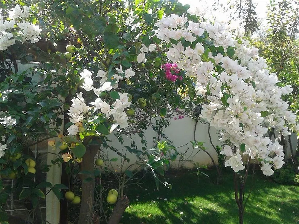 فندق بوتيك أورسماريس مرمريس 4*,